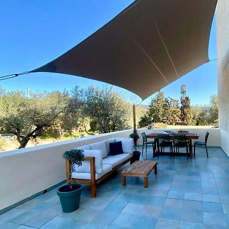 Villa Boeddu, Relax Tra Mare E Campagna อาลเกโร ภายนอก รูปภาพ