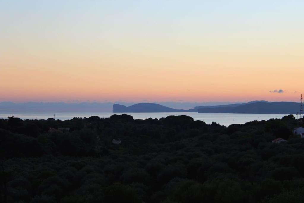 Villa Boeddu, Relax Tra Mare E Campagna อาลเกโร ภายนอก รูปภาพ
